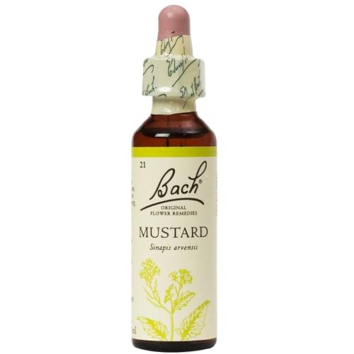Bach Mustard Συμπλήρωμα Διατροφής Ανθοϊάματος με Εκχύλισμα Σιναπιού για Αντιμετώπιση του Αισθήματος της Μελαγχολίας & Κατάθλιψης 20ml